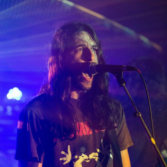 Raw In Sect - Live in Vienna